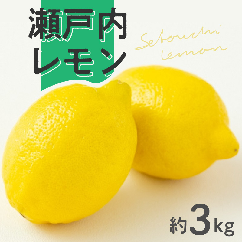M02-0140_【ふるさと納税】瀬戸内レモン約3kg