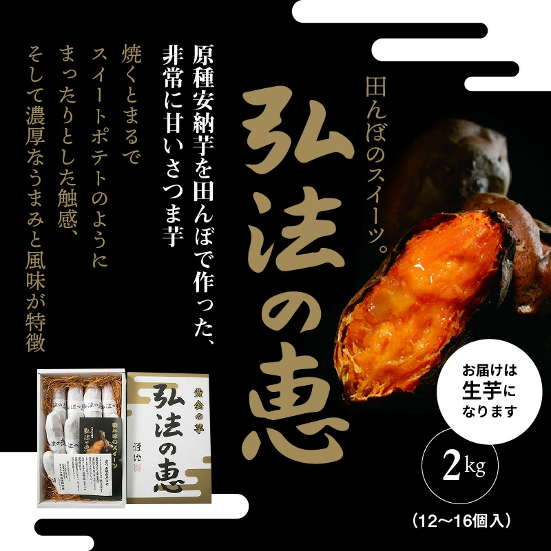 M40-0002_åŒæ³ã®æµãéŠå·çç£ãµããã€ã¢ èš2kgã