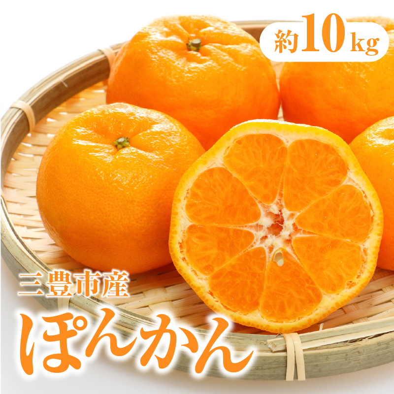 M02-0089_【ふるさと納税】三豊市産ぽんかん 約10kg