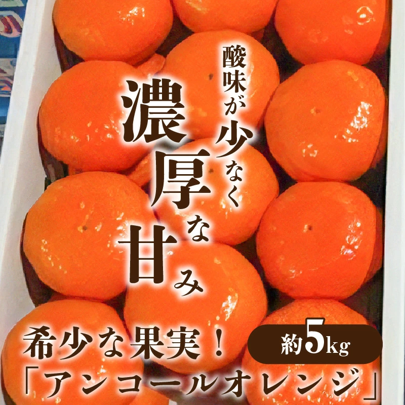 M02-0106_希少な果実!「アンコールオレンジ」 約5kg