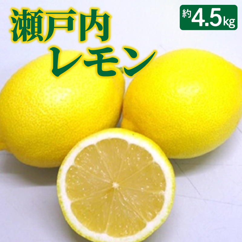 M02-0130_【ふるさと納税】瀬戸内レモン 約4.5kg