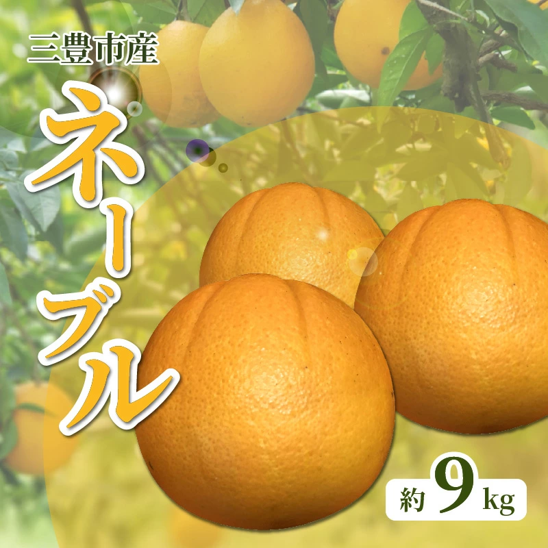 M02-0115_三豊市産 ネーブル約9kg(36〜60玉)