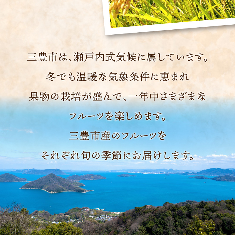 産地厳選三豊のフルーツ・お米３回定期便　J_M64-0050