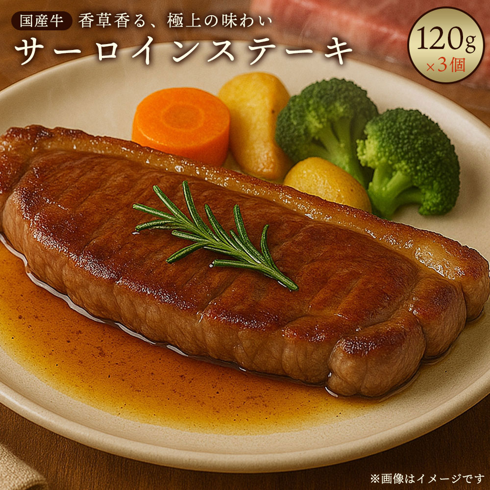 M86-0016_【ふるさと納税】国産牛　　サーロインステーキ肉　360ｇ（120ｇ×3個）