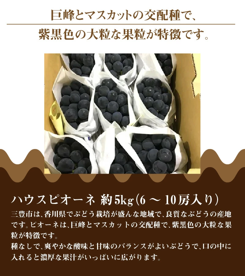 M02-0061_ハウスピオーネ 約5kg