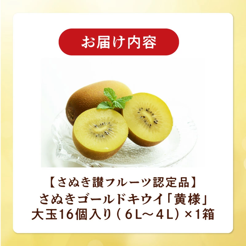 M72-0010_【10月中旬より】さぬきゴールドキウイ「黄様」16個入り【数量限定】