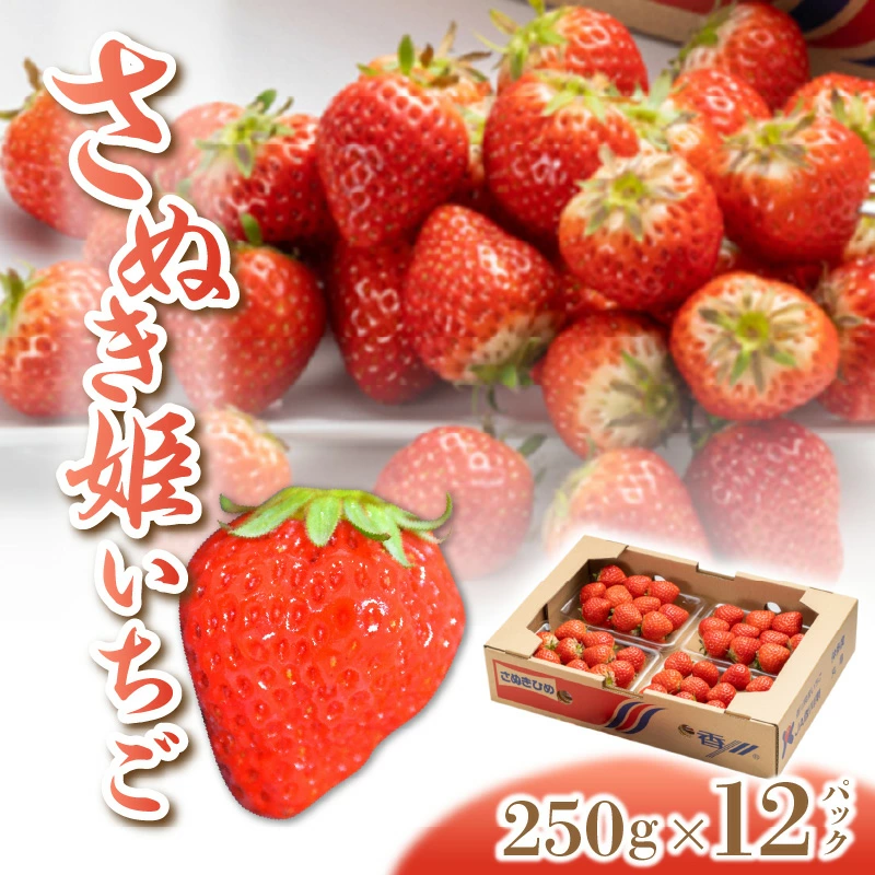 M102-0005_【ふるさと納税】さぬき姫いちご (250g×12パック)