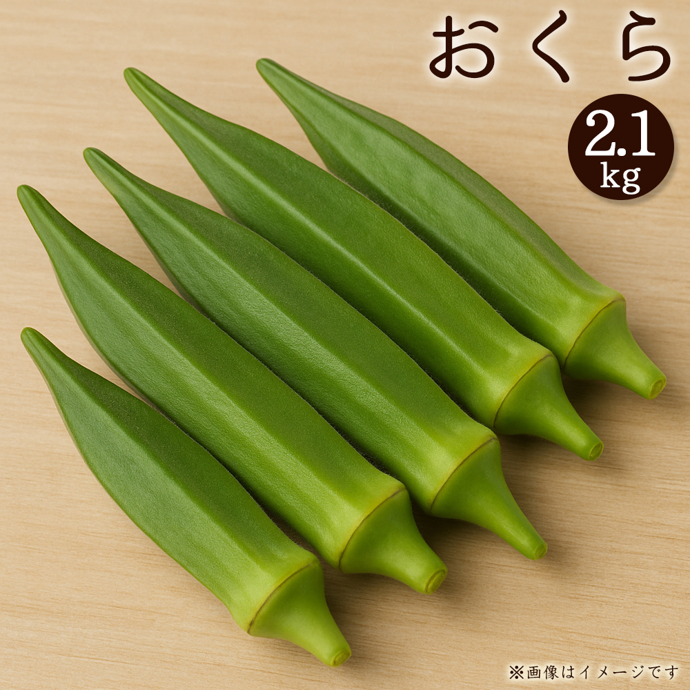 M02-0219_オクラ　約2.1kg