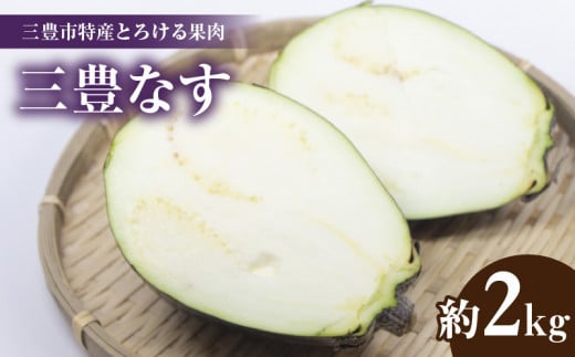 M02-0096_三豊市特産とろける果肉「三豊なす」約2kg