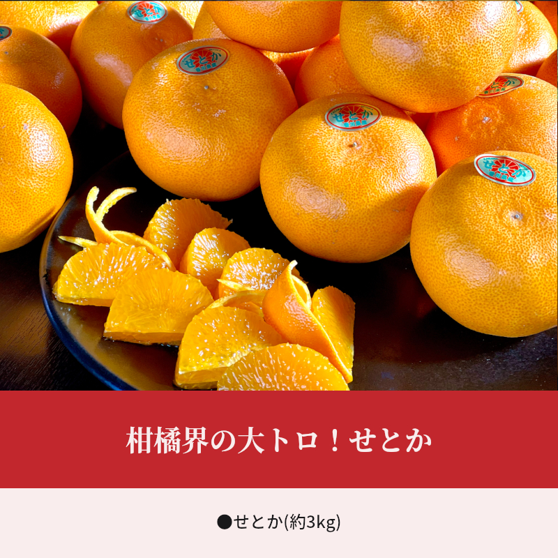 M102-0009_せとか (約3kg)
