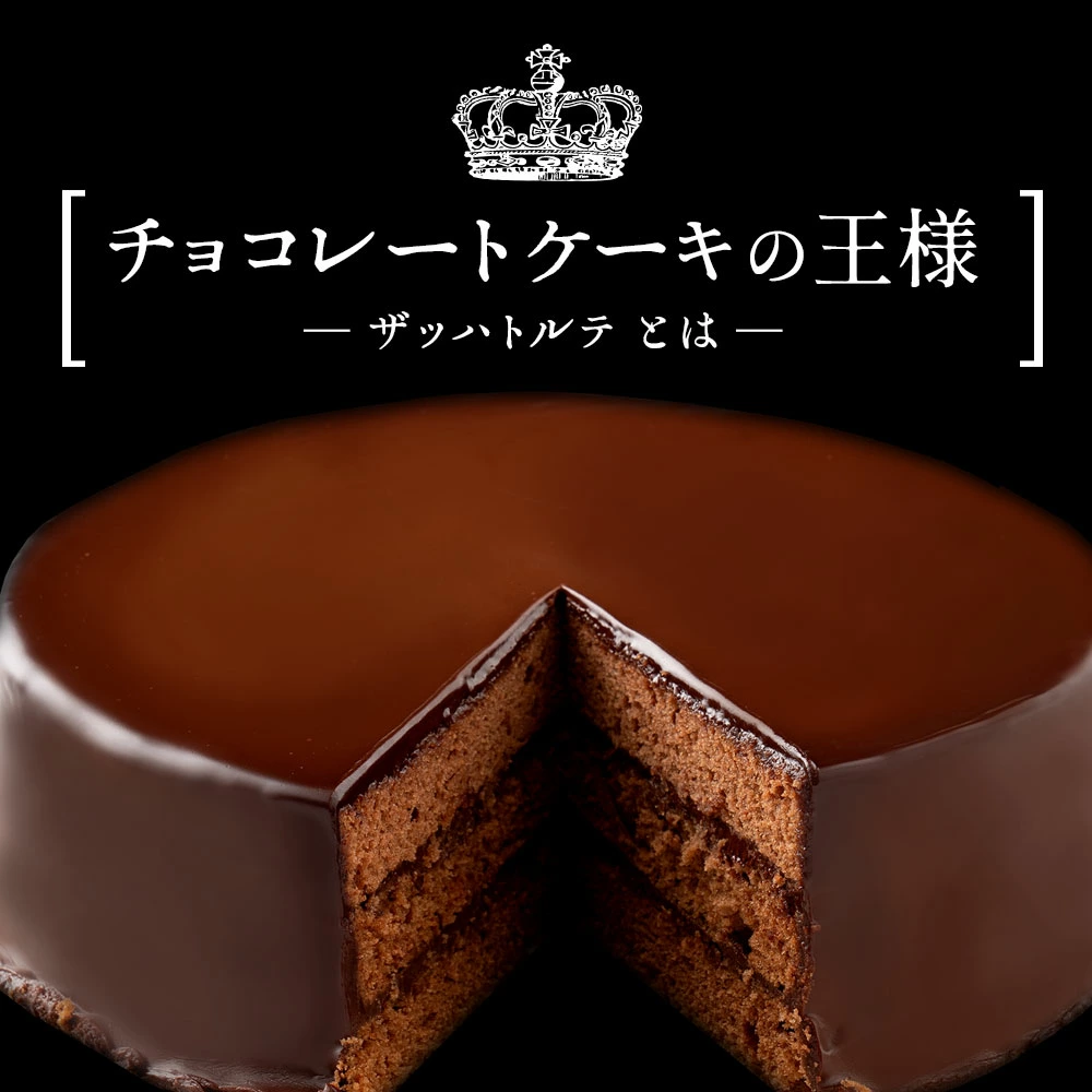 MH140-0008_ハイカカオ ザッハトルテ