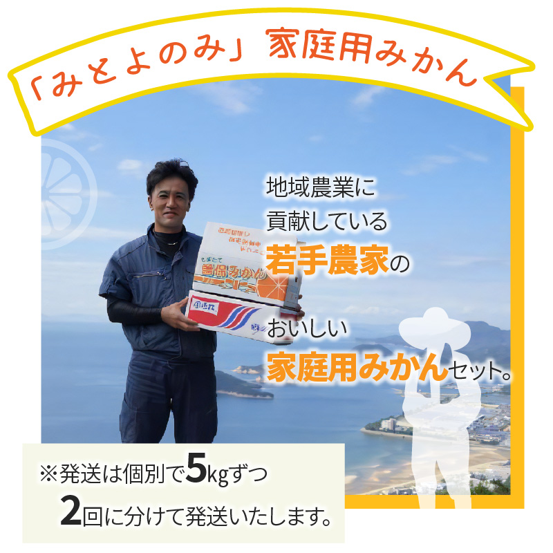 M67-0008-2024_「みとよのみ」みかん食べ比べセット[2回お届け]【2024年出荷分の予約受付】