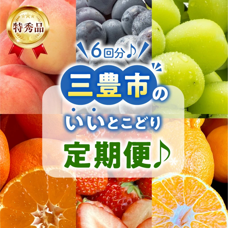 M102-0037_【ふるさと納税】【配送不可地域:北海道・沖縄県・離島】桃 7月 ニュー ピオーネ 8月 シャインマスカット 9月 約3kg 小原紅早生 みかん 12月 約2kg せとか デコポン 2月 さぬき姫 イチゴ 約500g 1月 定期便 果実 鮮度 老舗 旬 フルーツ王国 香川県 三豊市 送料無料