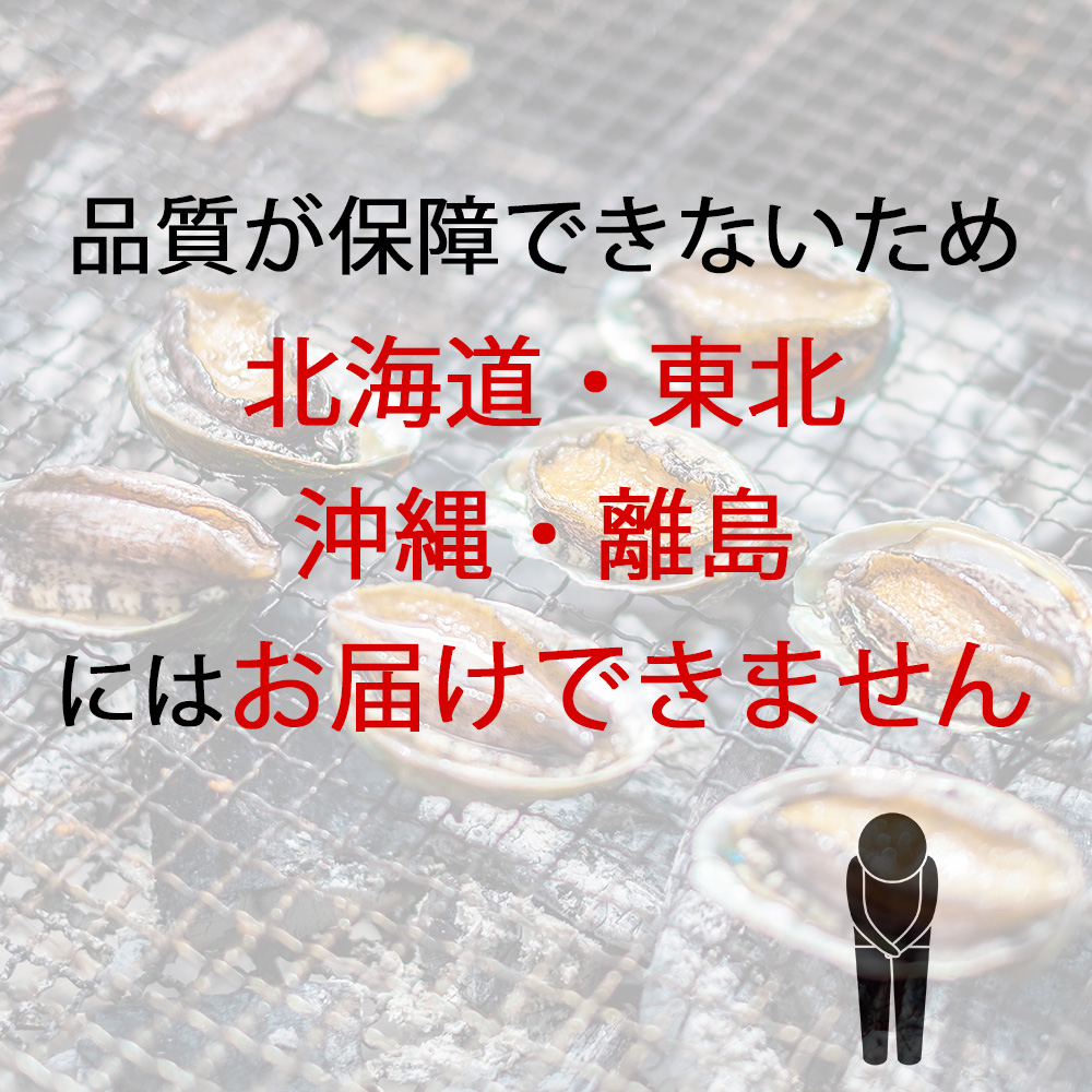 オリーブあわび　約1kg（10〜12個程度）×6回　定期便殻付き【配送不可地域：北海道・東北・沖縄県・離島】_M77-0006