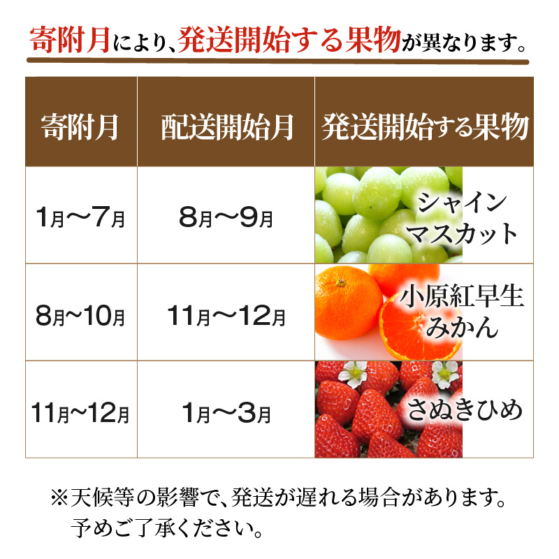 M64-0046_ããµãããšçŽçšãç£å°å³éžäžè±ã®ãã«ãŒã3åå®æäŸ¿ F