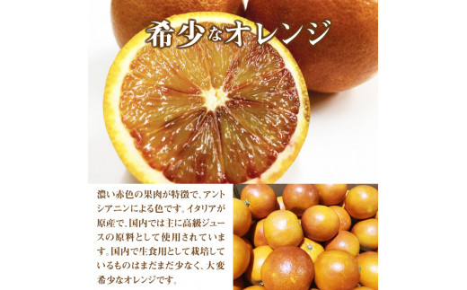 M02-0020_åœç£åžå°ãªã¬ã³ãž ããã©ãããªã¬ã³ãžã çŽ5kg