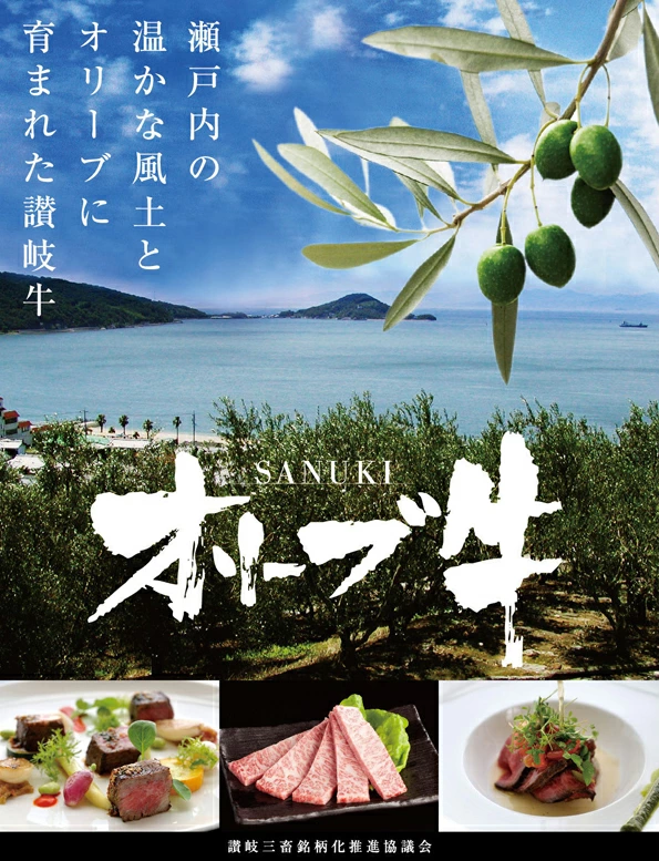 M04-0092_鬥吝キ晉恁逕」鮟呈ッ帛柱迚 繧ェ繝ェ繝シ繝也央閧ゥ繝ュ繝シ繧ケ縺吶″縺励c縺カ逕ィ2200g