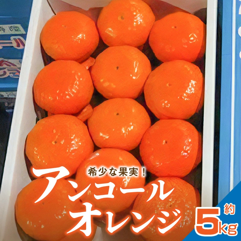 M02-0106_【ふるさと納税】希少な果実!「アンコールオレンジ」 約5kg