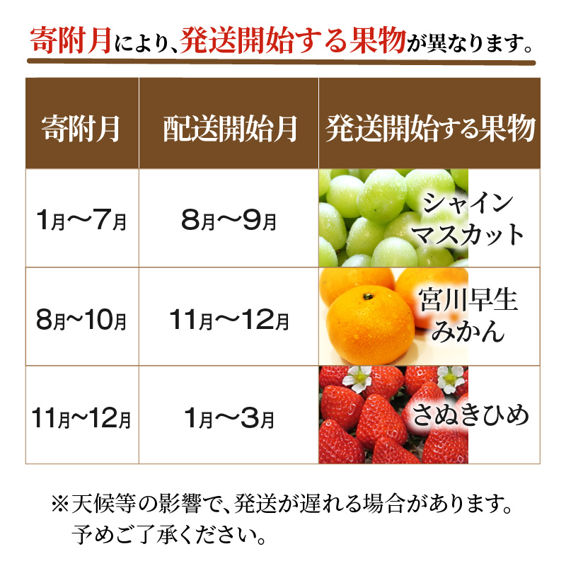 M64-0052_産地厳選三豊のフルーツ3回定期便 L