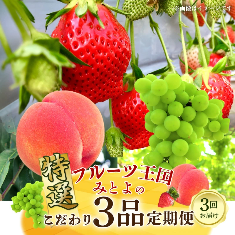 M02-0114-R_【ふるさと納税】フルーツ王国みとよの特選こだわり3品定期便