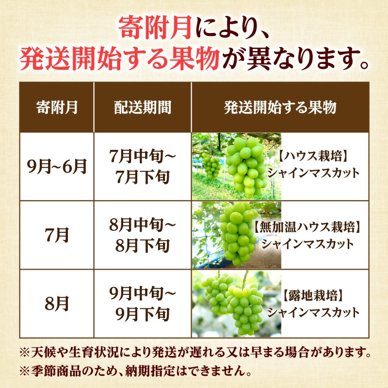 M02-0202_螟ァ邂ア繧キ繝」繧、繝ウ繝槭せ繧ォ繝繝3繝カ譛磯」邯壼ョ壽悄萓ソ