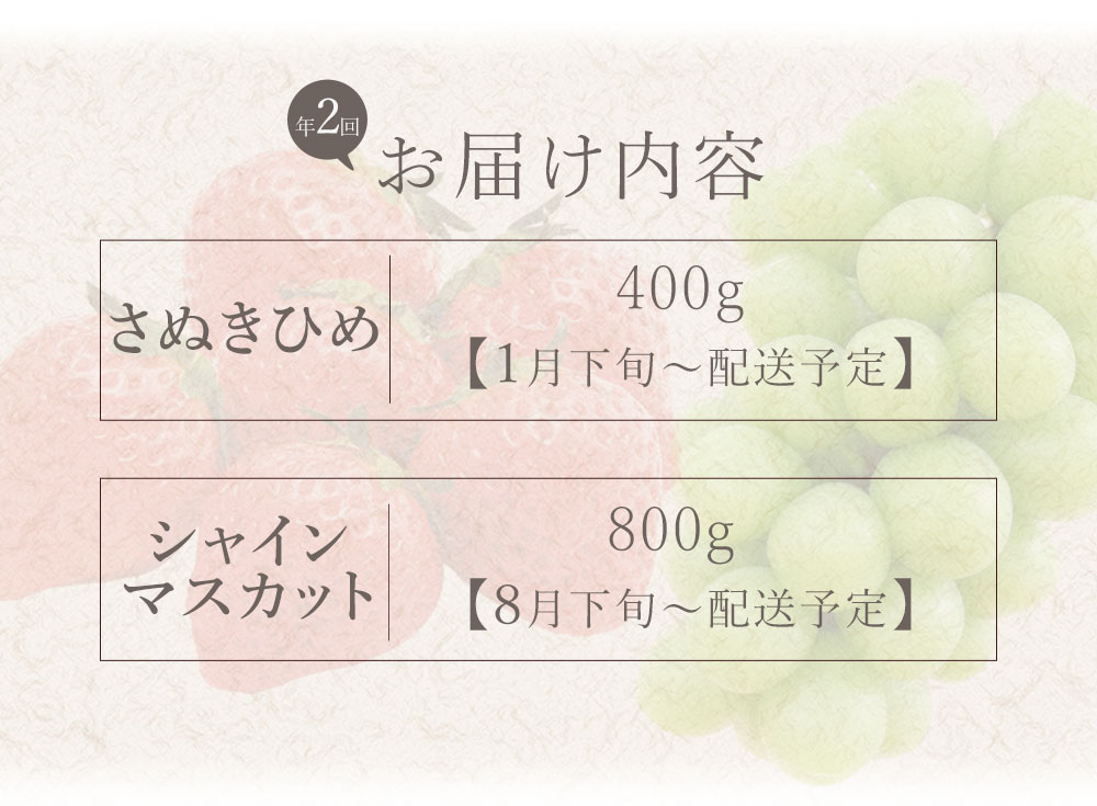 フルーツ定期便 2回 三豊市 さぬきひめいちご 400g 特大シャインマスカット 800g【配送不可地域：北海道・沖縄県・離島】_M02-0205