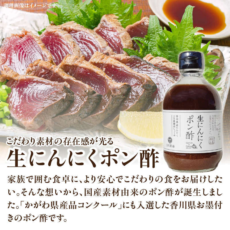 M07-0005_ãã ããçŽ æã®ã«ãã«ãã»ããA