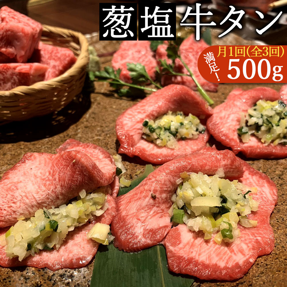 M183-0017-0_【ふるさと納税】毎月お届け3回 葱塩牛タンスライス500g