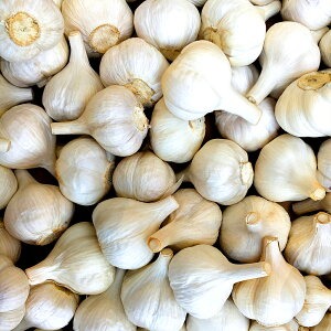 M07-0020_ããµãããšçŽçšã也ç¥ã«ãã«ã1ã(æççš)