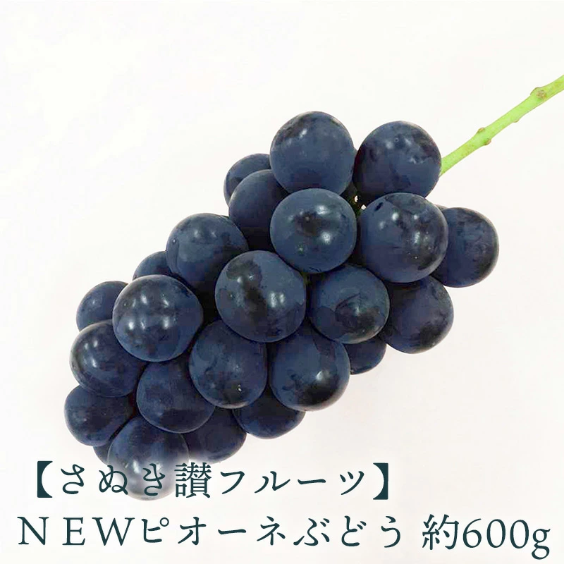 [ふるさと納税]NEWピオーネぶどう 約600g …