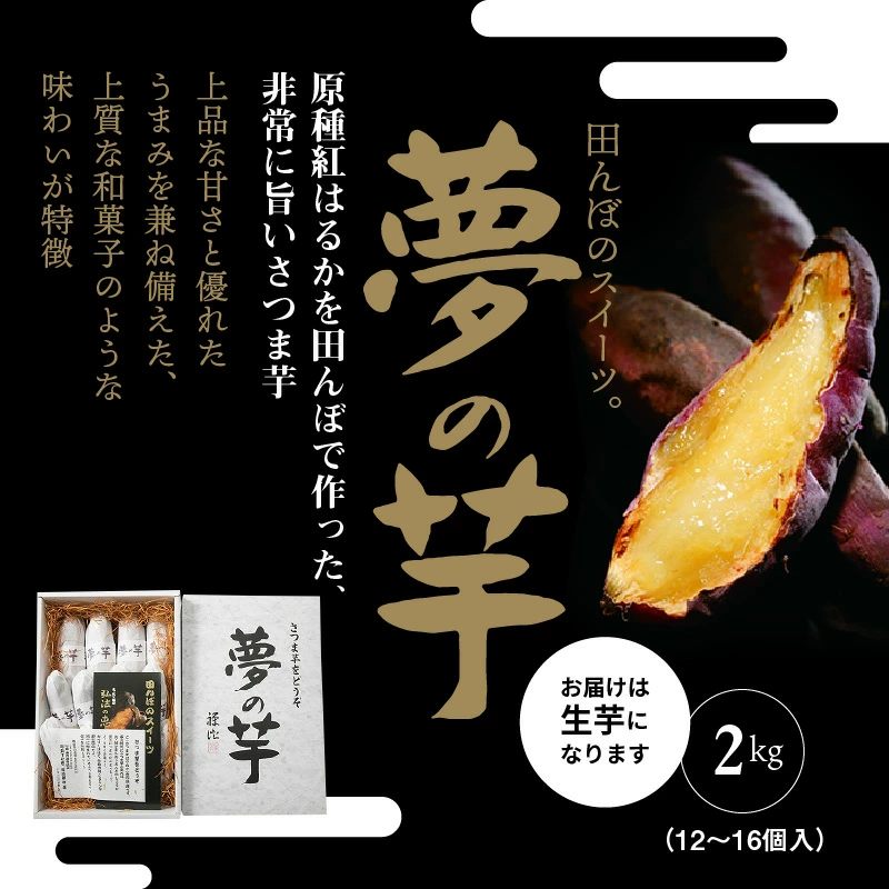 M40-0001_倢ã®èãéŠå·çç£ãµããã€ã¢ èš2kgã