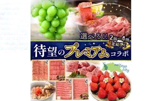 M04-0142-1_【ふるさと納税】待望のプレミアムコラボ【2回】定期便C