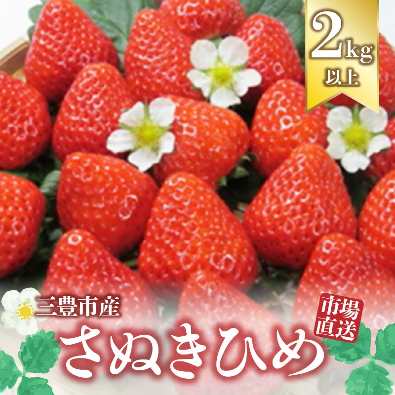M64-0016_【ふるさと納税】【2024年分】【1月中旬より発送】三豊市産【市場直送 さぬきひめ 2.0kg以上】