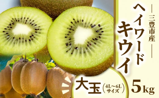 M02-0148_【ふるさと納税】三豊市産 ヘイワードキウイ【大玉】5kg(4L～6Lサイズ 40～35玉前後)