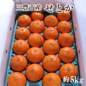 M02-0090_【ふるさと納税】三豊市産せとか 約5kg
