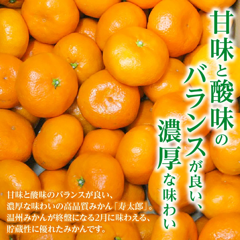 M02-0156_ãã¿ãšãã¿ããã 寿倪éã¿ãã çŽ5kg