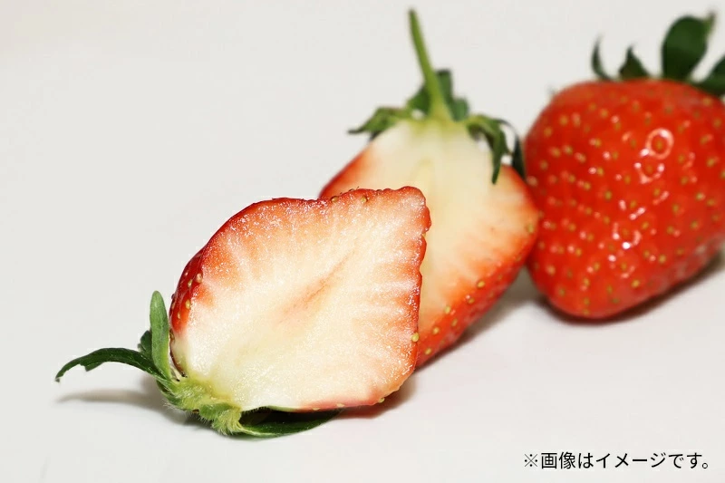 M102-0003_さぬき姫いちご (250g×4パック)