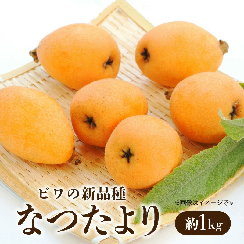 M02-0027_ビワ なつたより 約1kg