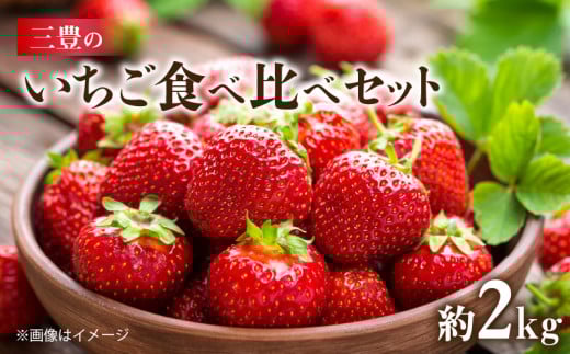M02-0030_三豊のいちご食べ比べセット(1月以降発送)