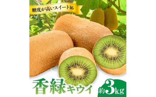 M02-0155_【ふるさと納税】【さぬき讃フルーツ】香緑キウイ(スイート16)約3kg