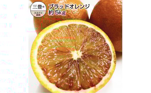 M02-0020_【ふるさと納税】国産希少オレンジ 「ブラッドオレンジ」 約5kg