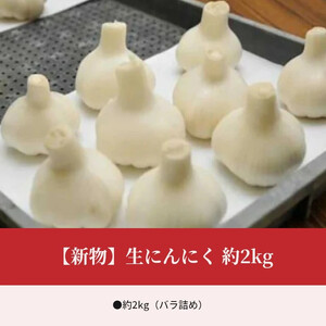 M02-0077_【新物】生にんにく 約2kg
