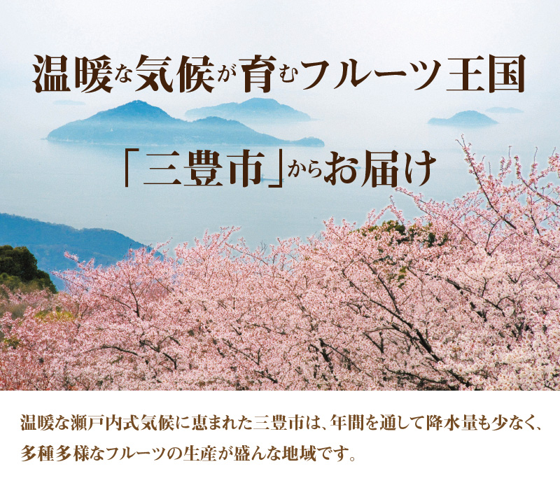 M02-0017_【ふるさと納税】【3月上旬～3月下旬】香川県オリジナルいちご 「さぬきひめ」 400ℊ化粧箱☓2箱