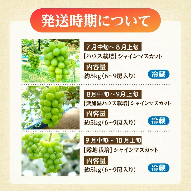 M02-0202_螟ァ邂ア繧キ繝」繧、繝ウ繝槭せ繧ォ繝繝3繝カ譛磯」邯壼ョ壽悄萓ソ