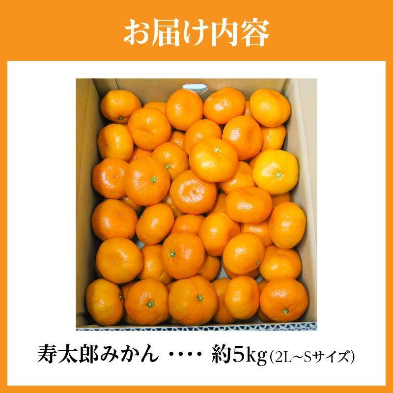 M02-0156_ãã¿ãšãã¿ããã 寿倪éã¿ãã çŽ5kg