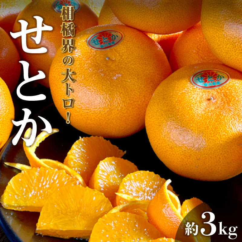 M102-0009_せとか (約3kg)