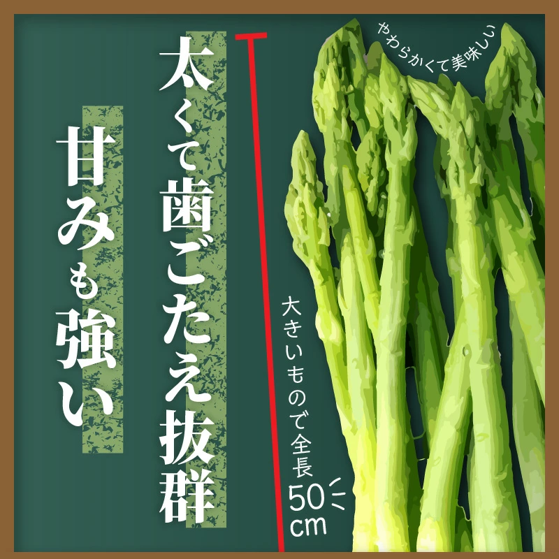 M02-0062_アスパラガス「さぬきのめざめ」約1.5kg(夏芽)
