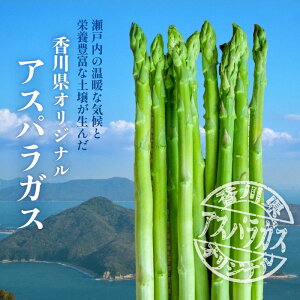 M192-0001_さぬきのめざめ　1kg