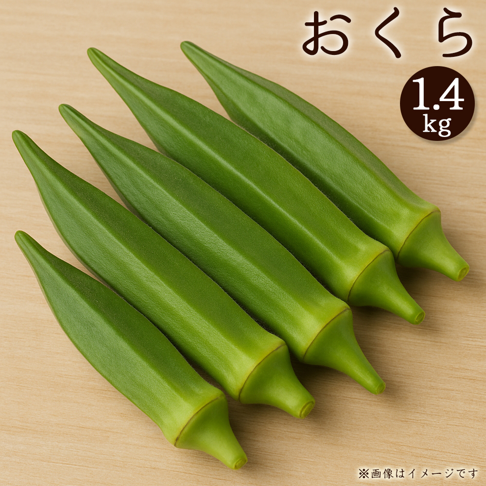 M02-0218_繧ェ繧ッ繝ゥ縲邏1.4kg