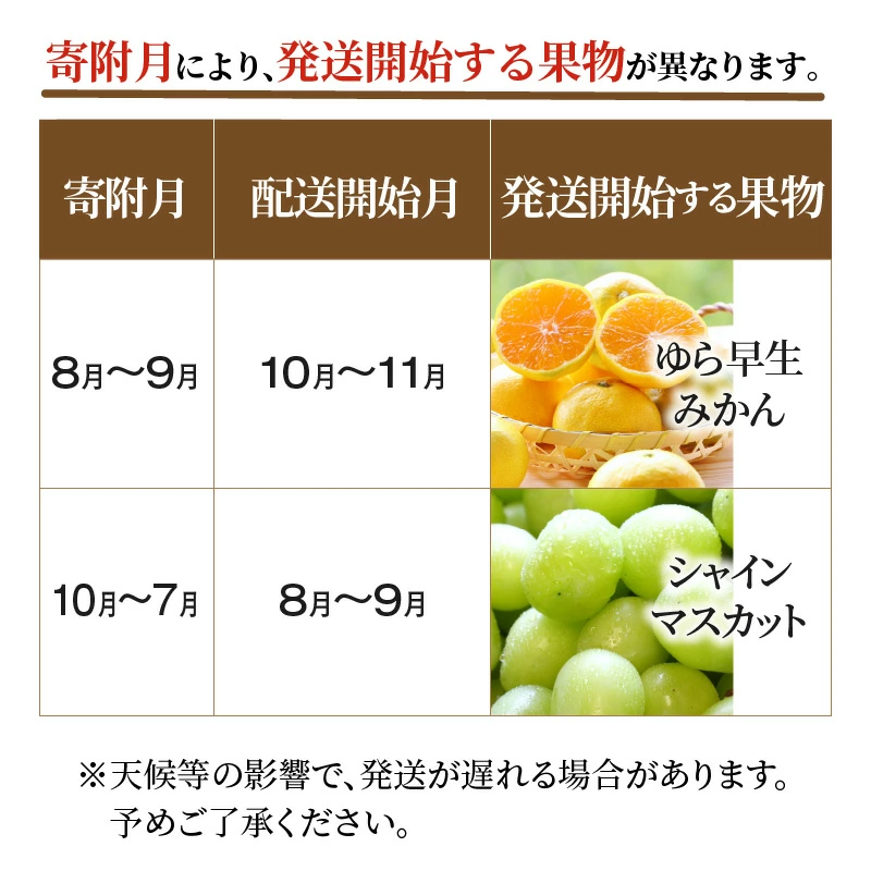 【配送不可地域：北海道・沖縄県・離島】三豊市フルーツ2回お届け定期便D_M64-0029